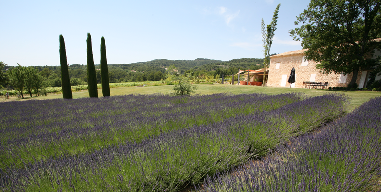 Jardin privé, Gordes (84) – 2009